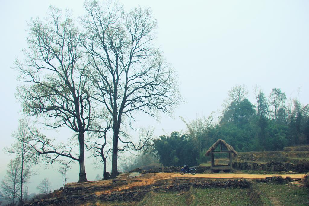 Freedom Homestay & Trekking Sapa Exterior foto