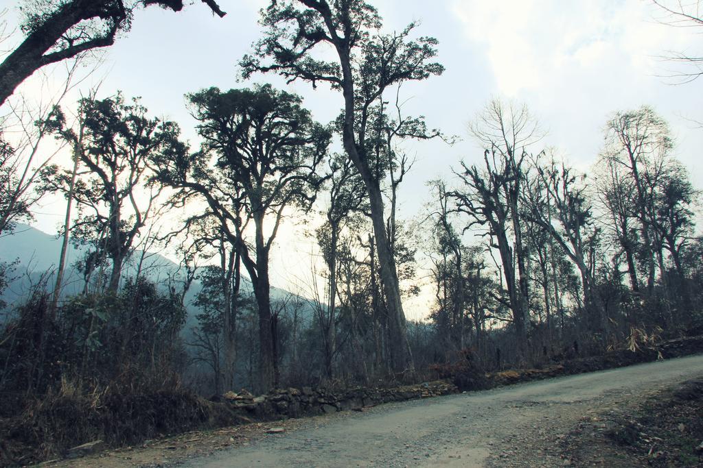 Freedom Homestay & Trekking Sapa Exterior foto