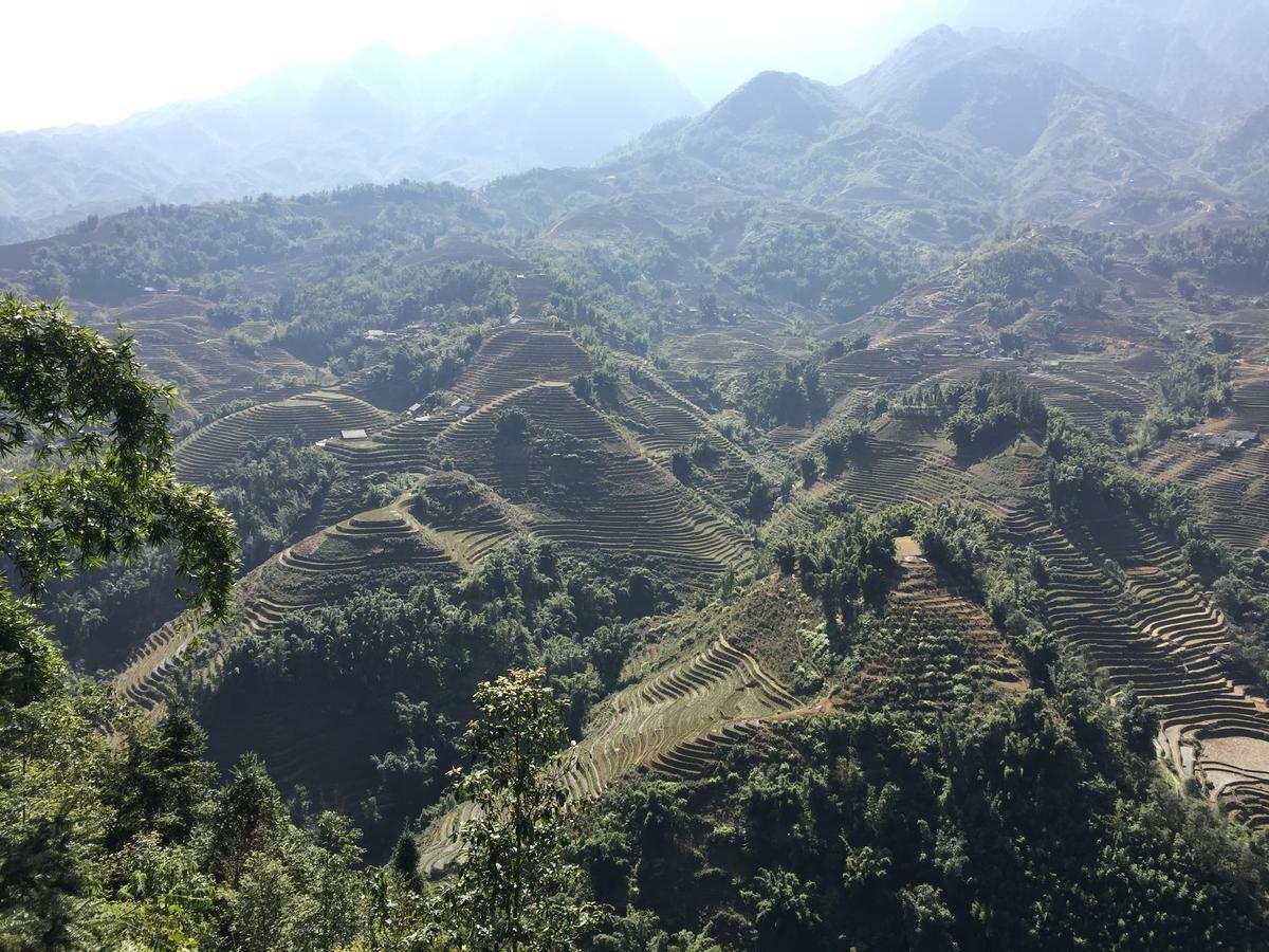 Freedom Homestay & Trekking Sapa Exterior foto
